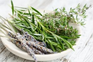 Herbs for Pain